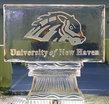 University of New Haven Mascot Logo