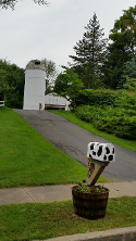 Barn with Two Huge Silos, Cow Mailbox, Fake Cow