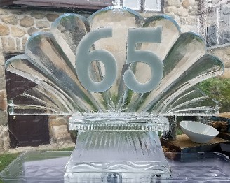 Shell top with snowfilled 65