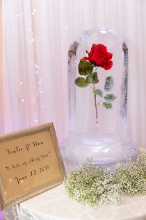 Rose in Dome