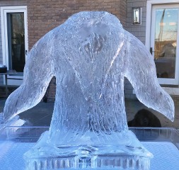 Ice Matters Fur Coat Shot Slide