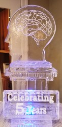 Head Silhouette with Snowfilled Brain, Snowfilled plaque in front