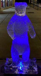 Ice Matters Polar Bear
