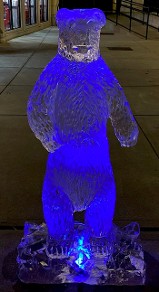 Ice Matters Polar Bear