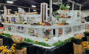 Peak Laminated Logo Frozen into block for truck and assorted laminated logos with produce frozen into blocks