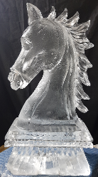 Ice Matters Horse Bust