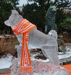 Carved Husky