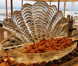 Ice Matters Open Shell