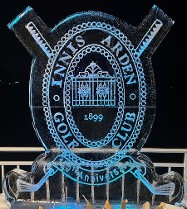 ice matters - 2-block snowfilled logo