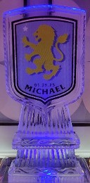 ice matters - color printed laminated logo frozen into ice