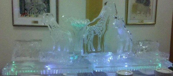 Ice Matters - 80 Tray - Giraffe Theme
