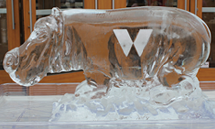 Ice Matters - Branded Hippo
