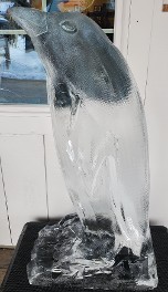 ice matters - penguin