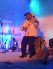 Fiddle Player during concert