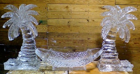 Ice Matters Shrimp Hammock between two palm trees