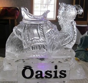 Camel with Plaque in Front